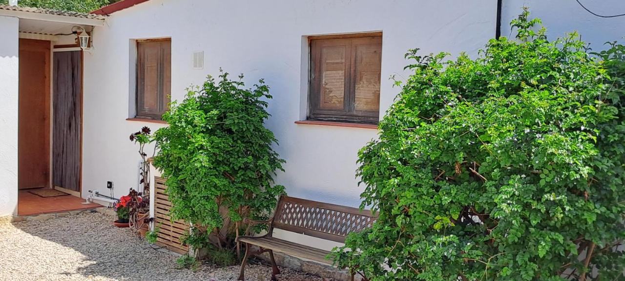 Finca Gamundi L'Ampolla Zewnętrze zdjęcie