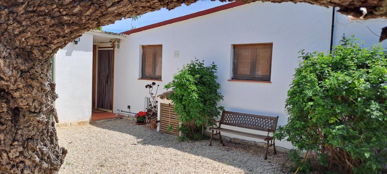 Finca Gamundi L'Ampolla Zewnętrze zdjęcie